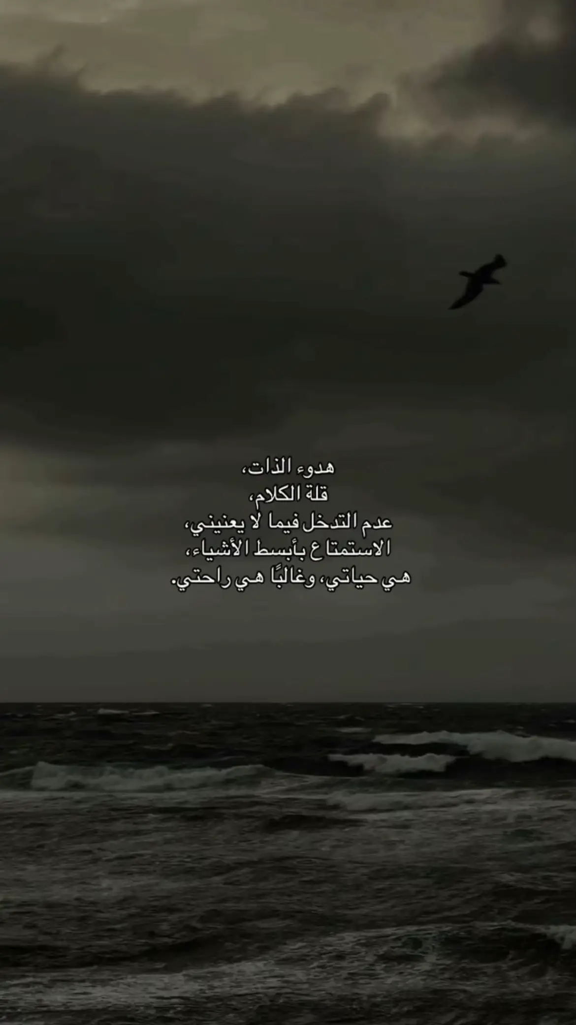 #هدوء #هدوءالذات🤍🍂 