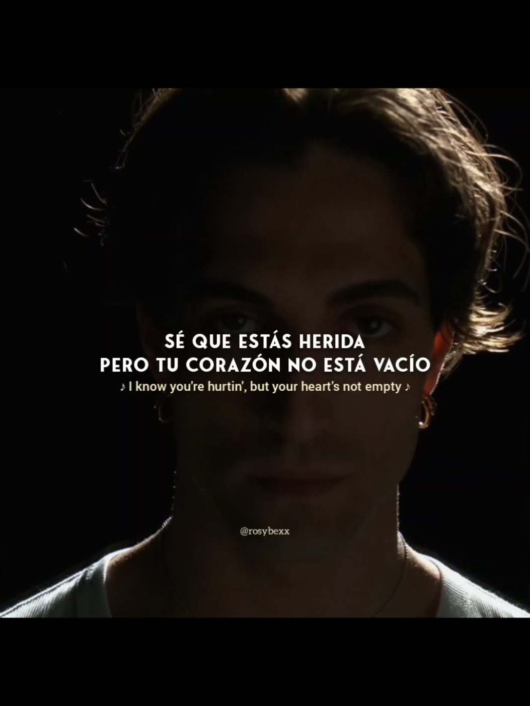Damiano David - The Bruise ft. Suki Waterhouse // Español // Lyrics #damianodavid #letras #lyric 