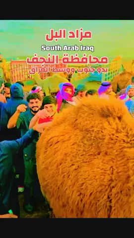 #وسط_وجنوب_العراق #البدو_عز_وفخر #أصل_العرب #المعدان_ابناء_معد #النجف_الأشرف 