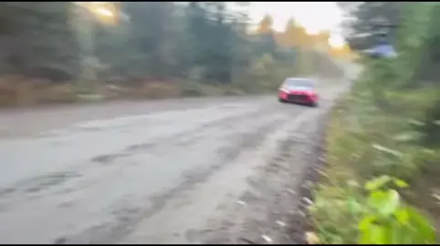 Wrc❗️❗️❗️😍 #foryoupagе #viralvideotiktok #fyp #wrc #rallye 