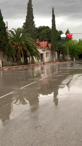 #الجلفة  🫶🏻❤️‍🩹