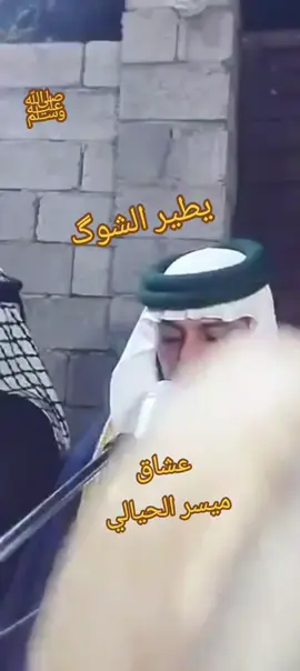 #عشاق_ميسر_الحيالي 