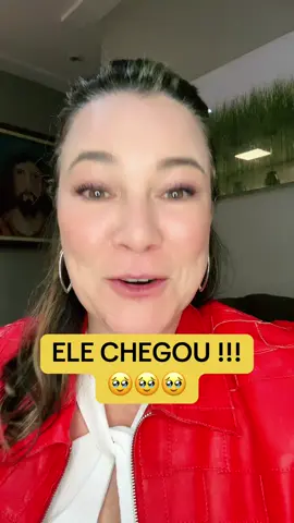 Ele chegou e eu não poderia estar mais feliz ! 🥰  #livro #direitodotrabalho #guiapratico #advogada 