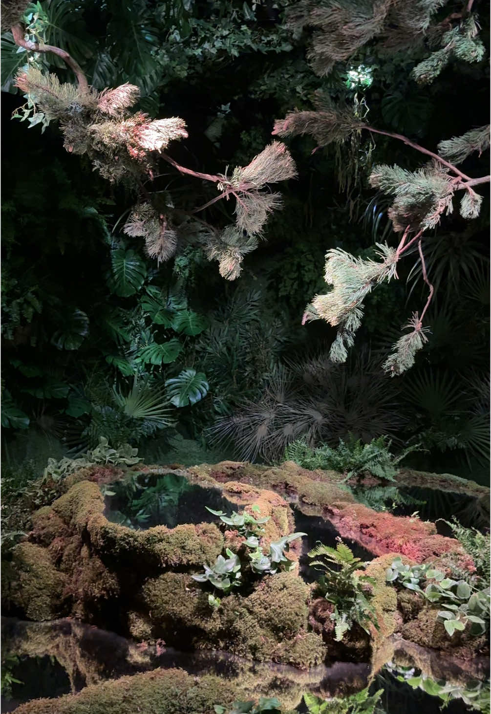 Genesis House, The Forest Within Exhibition @genesishousenyc  #genesishouse #theforestwithin 