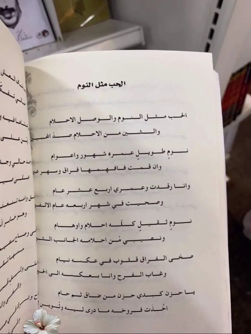 #fyp #اكسبلور #foryou #فلاح_المسردي 