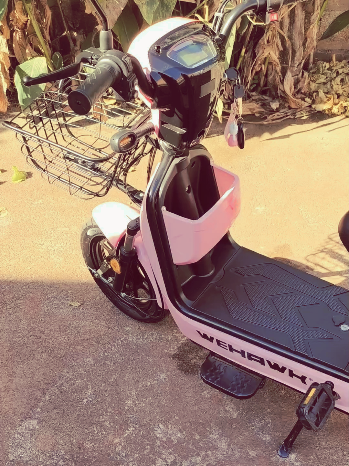 toda frufru 🤧🤧🌸🌸💗 . . . . . . . . . . . . . . #garotas #bikeeletrica #bicicletaeletrica #trendingsong #stranwberry #pink #viralditiktok #vaiprofycaramba #garotasapoiamgarotas💝🎀✨️ #autonomia #mulherdepreso🔓🕊👫💍 