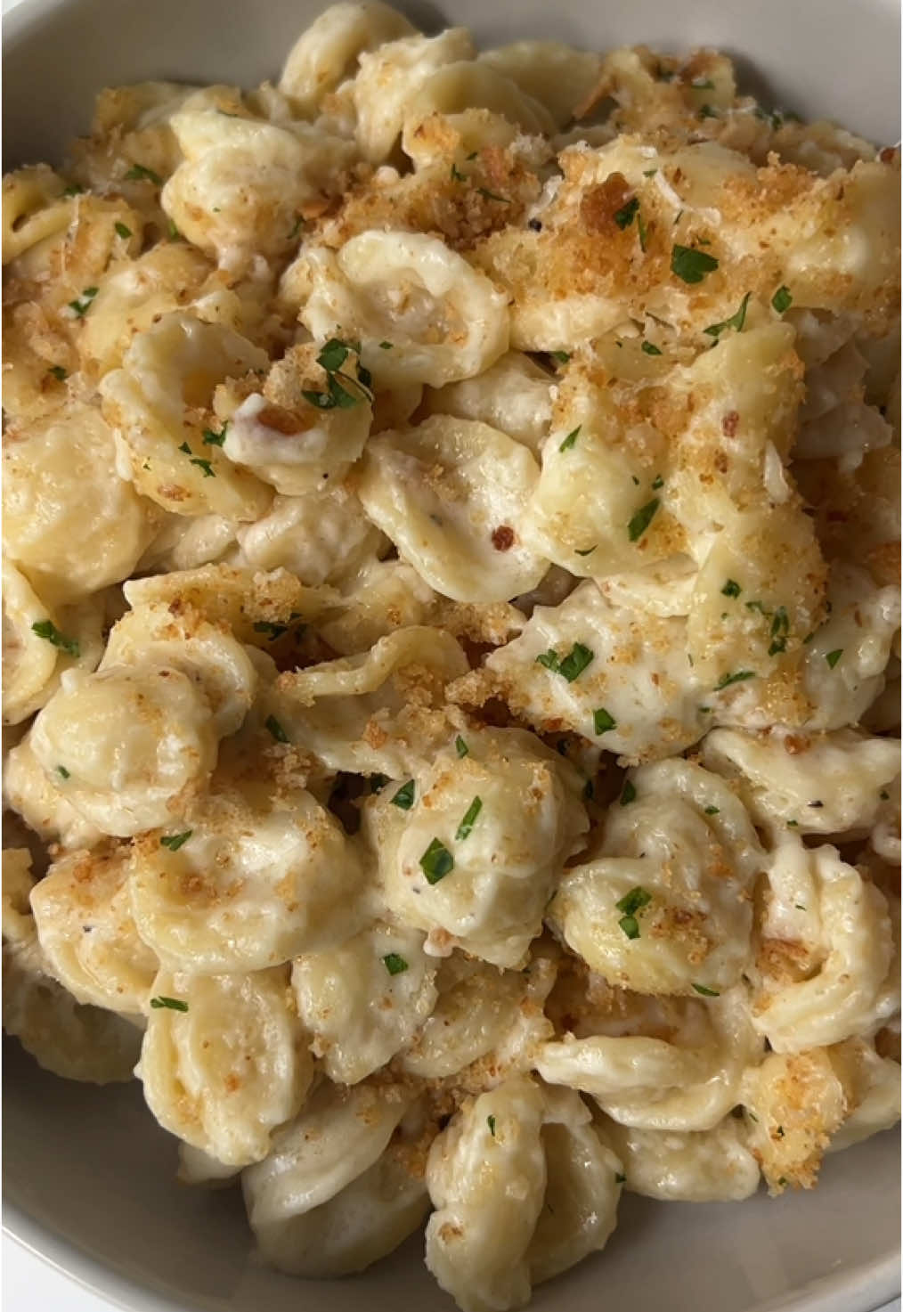 white cheddar mac & cheese 🧀😎 // baked with breadcrumbs or straight from the stovetop, this hits either way! - recipe ⬇️ Ingredients: 1/2 lb pasta 1 cup milk 1.5 cup shredded white cheddar cheese (plus extra if baking) 2 tbsp butter 2 tbsp flour Salt, pepper & garlic powder, to taste 1/2 cup breadcrumbs parsley, for topping Instructions: - Boil pasta in salted water according to package directions. Reserve some pasta water. - In a large pan, melt butter over medium heat. Whisk in flour and cook for 1–2 minutes until lightly golden. - Slowly whisk in the milk, stirring constantly to avoid lumps. Simmer until the mixture thickens slightly. - Season with salt, pepper, and garlic powder. - Lower the heat to low and gradually stir in shredded white cheddar cheese until melted and smooth. - Add the cooked pasta to the cheese sauce and mix until evenly coated. Add a splash of pasta water to adjust consistency if sauce is too thick. If baking: - Preheat oven to 375°F - Mix breadcrumbs with 1 tbsp melted butter. - Pour the mac and cheese into a greased baking dish and top with breadcrumbs and cheddar. - Bake for 15–20 minutes, or until golden and bubbly. - Broil for 1-2 minutes at the end for an extra crispy top.  #macandcheese #pasta #cheese #EasyRecipe  #bakedmacandcheese #creatorsearchinsights #fyp 