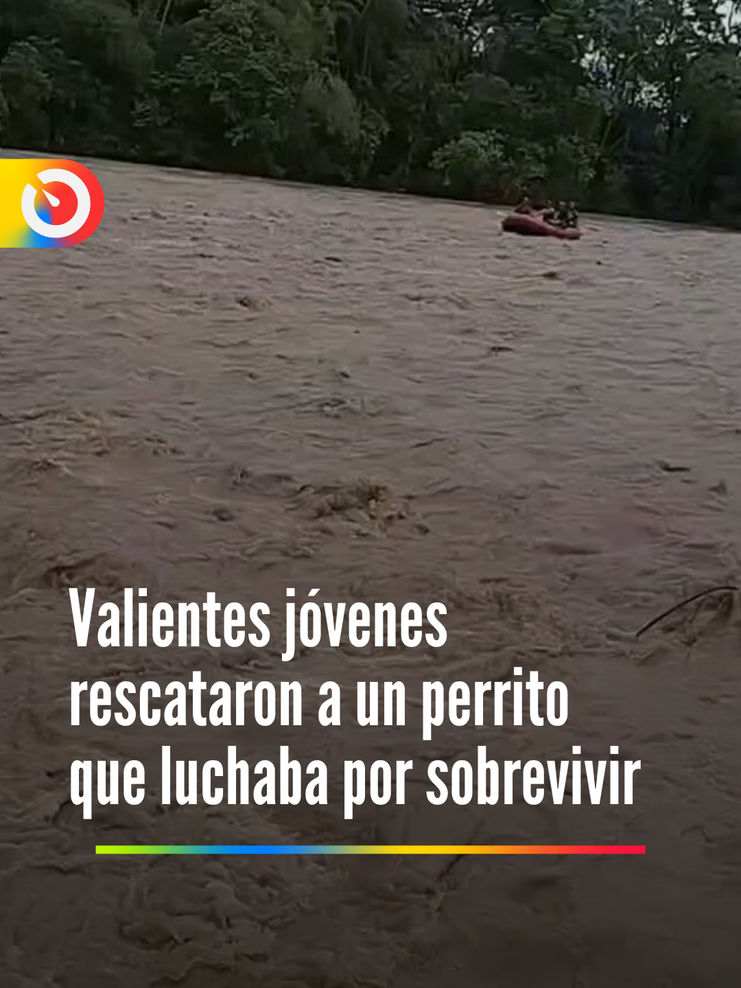 #videoviral ¡Héroes sin capa! Valientes jóvenes rescataron a un perrito que luchaba por sobrevivir en las aguas de un río en el Meta. El rescate se realizó en el sector de la vereda Monserrate Bajo del municipio de San Juan de Arama en ese departamento. Las imágenes se han hecho viral #perro #perrito #rescate #rescateanimal #rescatedeanimales #rio #agua #momentos #video #paratiiiiiiiiiiiiiiiiiiiiiiiiiiiiiii