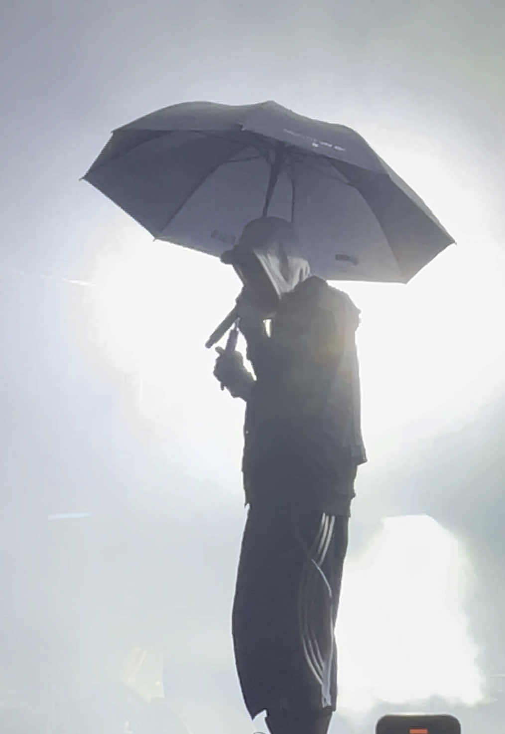 Who Goes There (1) live in Milan #bladee #drain #draingang 