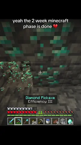 23 diamonds yeah it’s over after that… #Minecraft #minecraftmemes #minecraftbuilding #fyp wow 