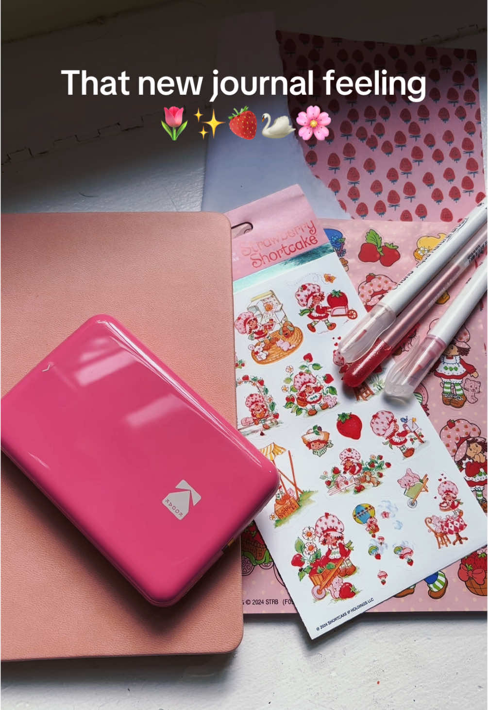This is your sign to start that journal 📖#fyp #fypシ #foryoupage #journal #journaling #fypシ゚viral #strawberryshortcake #pinkaesthetic #aestheticvibes 