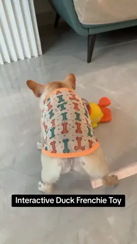 Interactive Duck Frenchie Toy 😍 Get yours, link in bio🛍🛒