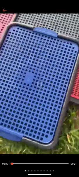 encontre na shoppe Kit Sanitário Canino Pet + Educador Pet Xixi Sim Pode Xixi Não Pode Tapete Higiênico para Cães. #meupet #maedepet #meupetmeufilho    link só comentar que já envio. 📌