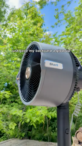 Engineered to chill… literally 🧊 #sharkpromist #sharkfan #outdoorfan #summermusthaves #fan 