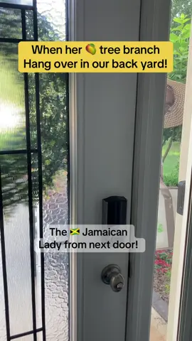 WHY….Jamaican  🇯🇲 people so serious about their mango trees! #jamaica #jamaicatiktok # jamaicatiktok🇯🇲 #women #men #reggae #islandlife #reggaeton #trinidad #trinidadtiktok #mom #momsofttiktok #bobmarley #jamaicanfood #black #BlackTikTok #creator #creatorsearchinsights #howtogoviral #viraltiktok #TikTokShop #dog #doglovers #pet #doglife 
