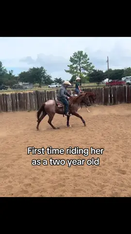 #boonstraitriverfloat #snafflebit  @DnD Performance Horses 