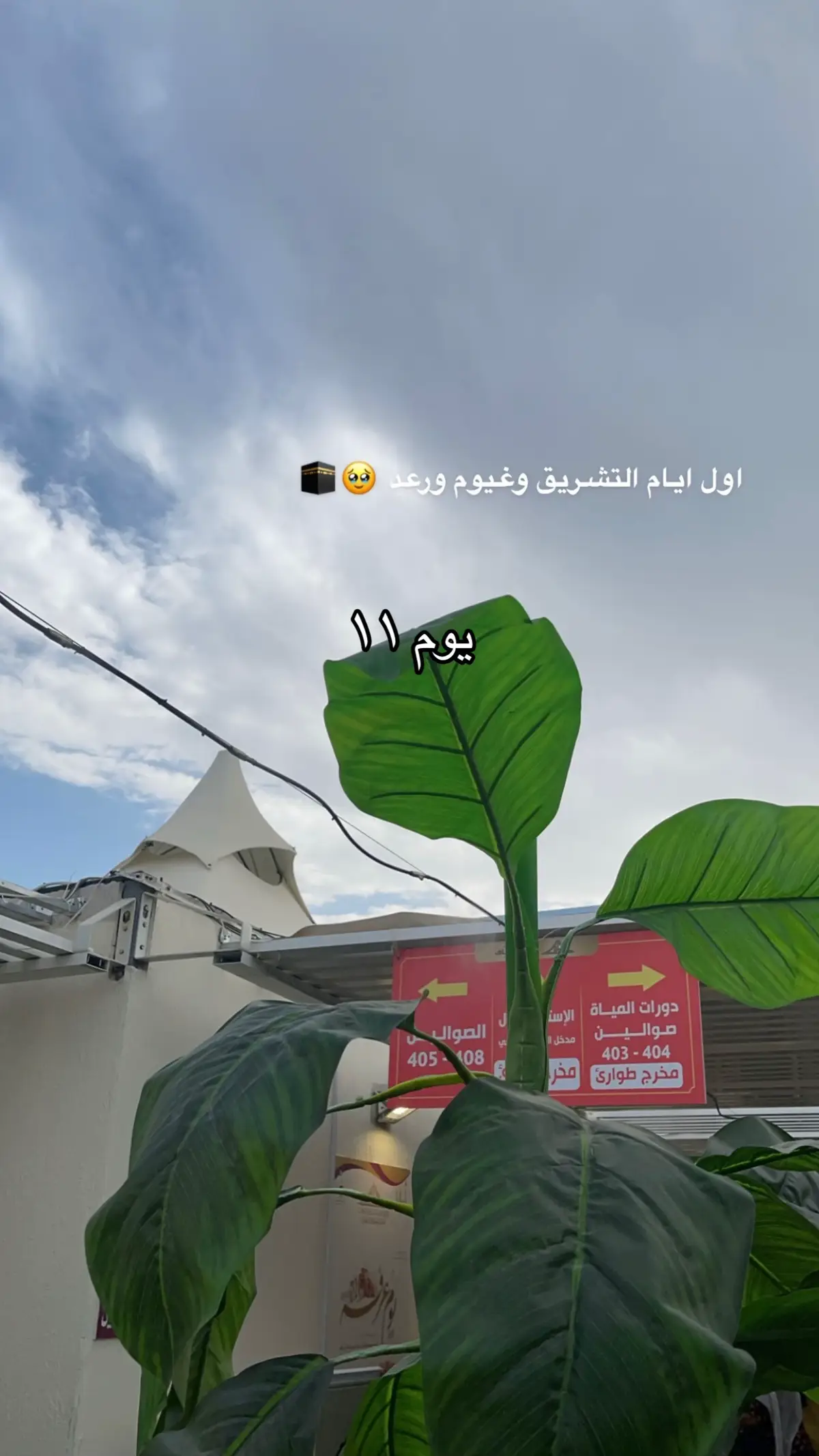 #قران #قران_كريم #اكتب_شي_توجر_عليه #الحج #مكة #الحجاج #capcut #fyp #لاله_الا_الله_محمد_رسول_الله 