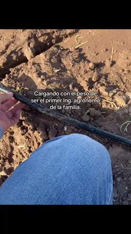 😍 #agronomia🌱 #contenido #familia #agro #agricultura🚜🌱 #fyp 