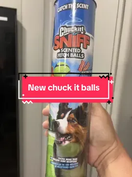 Hey paw friends. Mom got these off TikTok shop. They were gifted to us to review.  We will earn a small commission if you use our link to purchase some.  I have loved this brand of ball since I was a puppy. My best friend Wilson is a chuck it ball.                                        -Tasty peanut butter and bacon scents excite the scent receptors in your dog’s nose. -Peanut butter and bacon scents make it easier for your dog to find the ball during games of fetch. -Made with natural rubber and an extra thick core for durability. -Designed for high bounce, buoyancy and durability. -Compatible with medium Chuckit! Launchers (sold separately). #influencer #ad #commission #chuckit #chuckitball #englishbulldogsoftiktok 