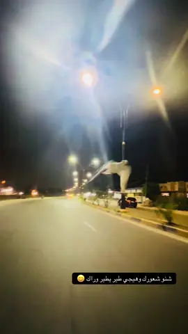 #شكد تتوقعون جاي نمشي بلدراجه اليعرف اله طير أليف هديه 🕊️😅😅