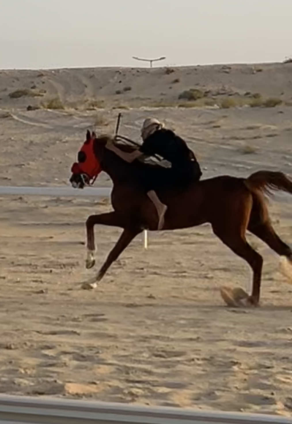 ميدان الجبيل 🔥🔥. #جوكي #سرحان_ال_سعد #مربط_قرم #خيل_وخياله🐎 #الجبيل #خيل_الجبيل #سباقات_الخيل #شروره_نجران_الوديعة #الدمام #خيال 