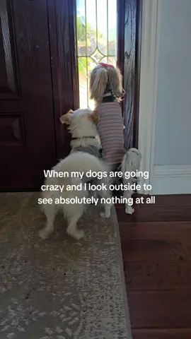 There is literally nothing out there 