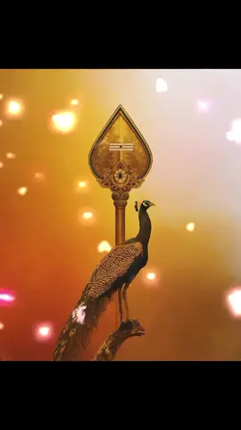 good morning #tamilkadavulmurugan🕉️ #tamilculture🙏 #tamizhan #singapore #tamikadavul 