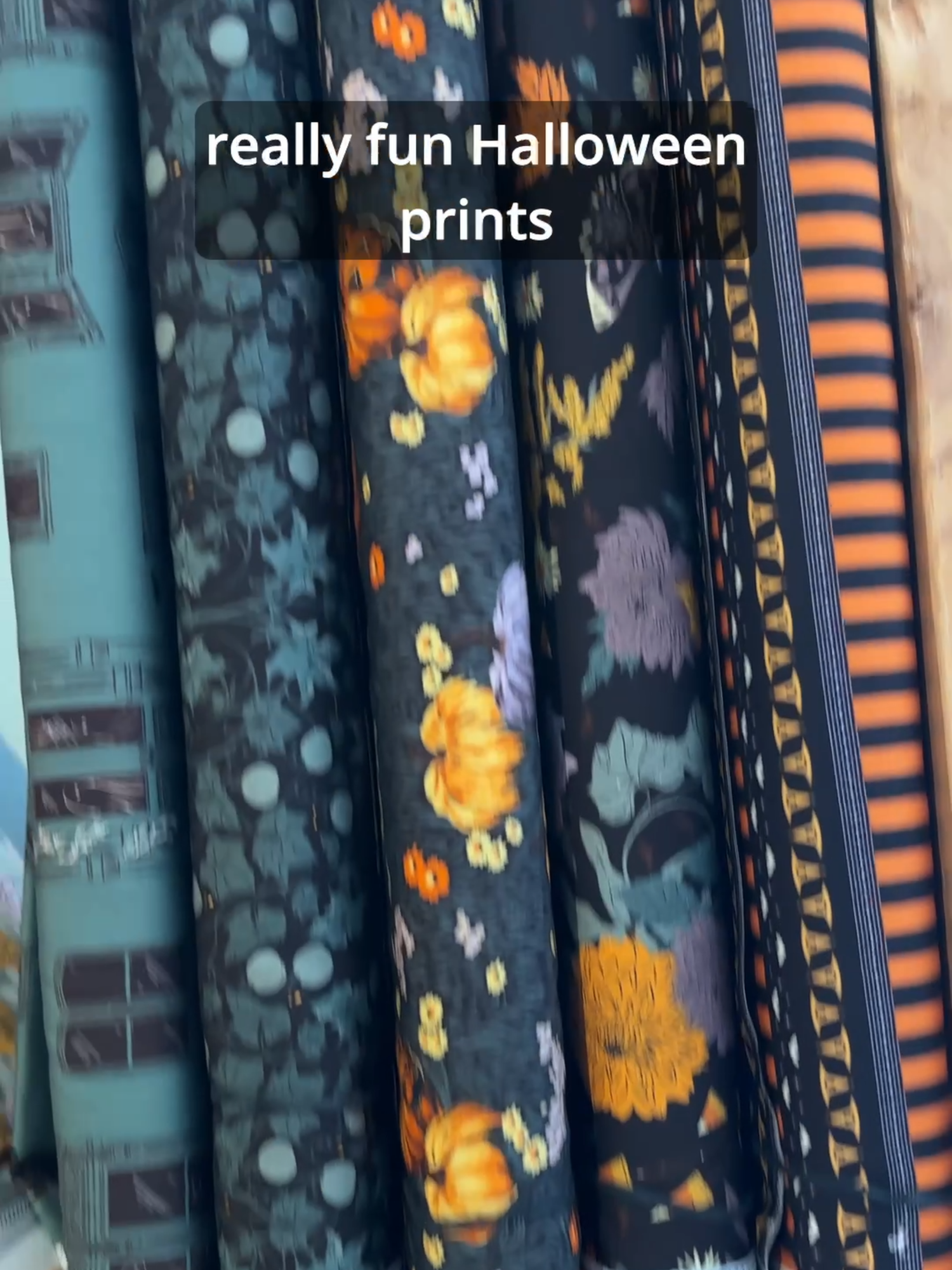 Quilt Fabric Shopping in Tucson, AZ. @by_and_by @mr.bones_sews
