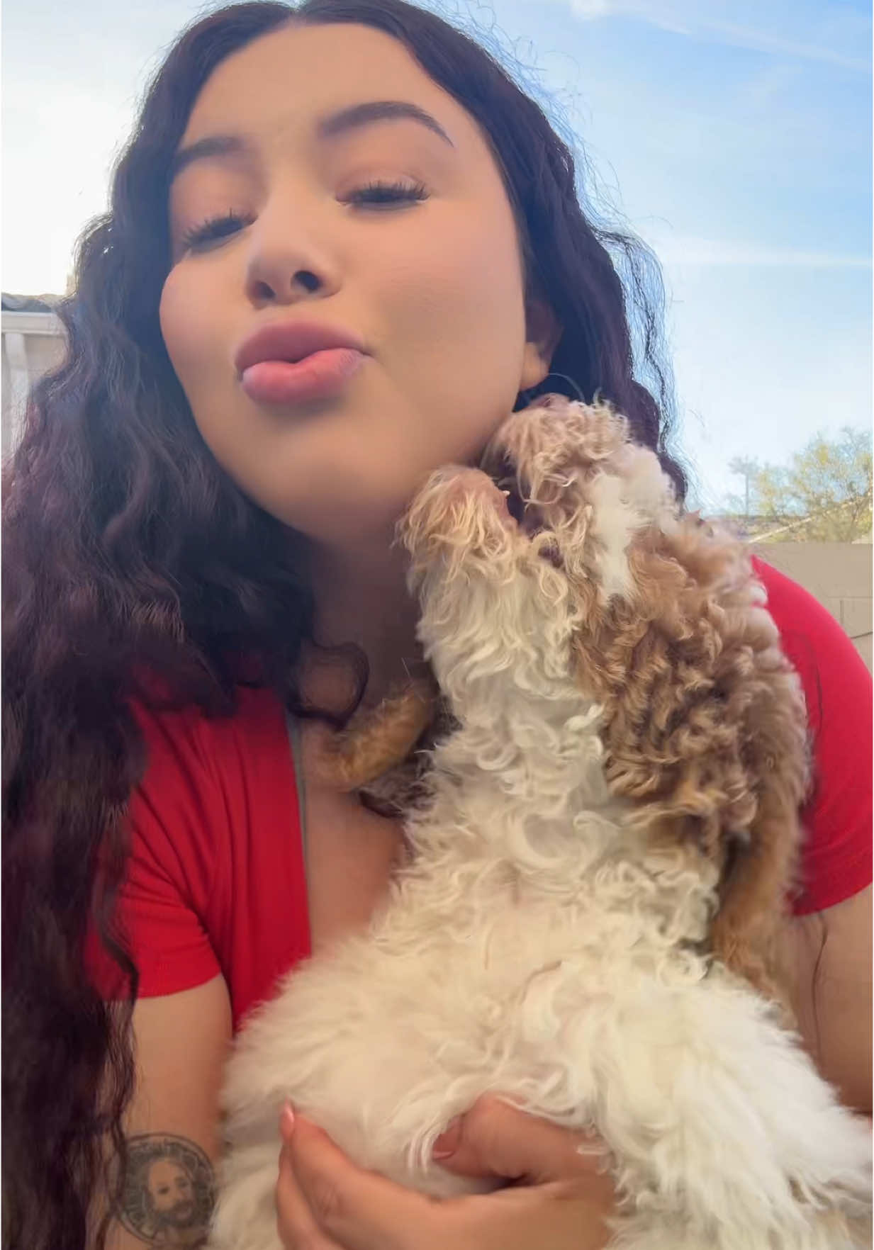 Listen she was not having it lol 🐶 #standardpoodle #puppy #dogsoftiktok #dogmom 