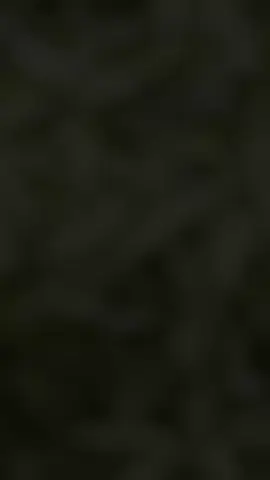 ❤️🙃 #viralvideo #tiktok @KNOX⭕️🔥 @bbh 🦅 @(→_→)𝑷 𝑶 𝑫 𝑰㊗ 