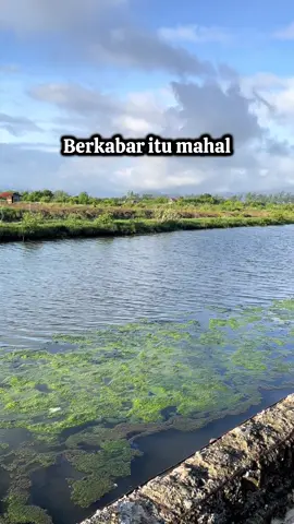 Berkabar itu mahal… #fyp😍😍😘😘#xyzbca#fyptiktokviralシ😍😍😘😘#yentjia😍😍😘😘 