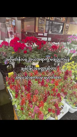 ချစ်တယ်ဆိုတာ မင်းထင်သလောက်မလွယ်နေဘူး 🖤ချစ်ပေးရတယ် ဂရုစိုက်ပေးရတယ် မြတ်နိုးရတယ်🖤#fypviralシ #fyppppppppppppppppppppppp #😇 #စာတို #fypviralシ #မင်းတို့ပေးမှ❤ရမဲ့သူပါကွာ 