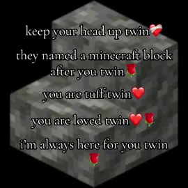 you mean the world to me twin❤️‍🩹#fyp #twin #postivitiy #hopecore #hope #Love #Minecraft #tuff #tspmo #pmo 