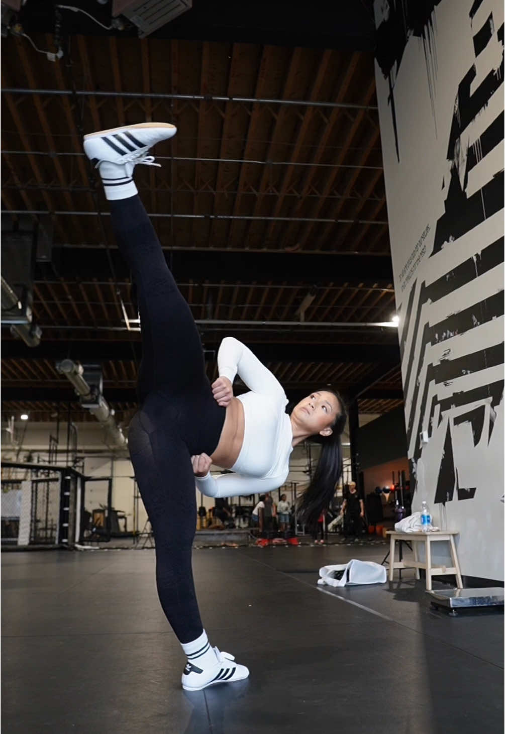 just checking to see if my hips still work🥋🤸🏻‍♀️ #martialarts #taekwondo #kicks 