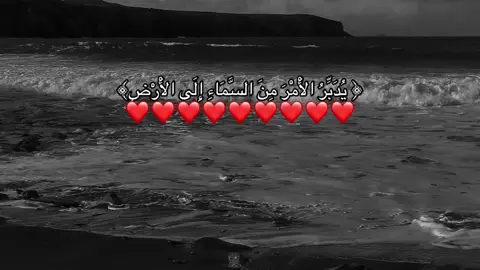 #صدقه_جارية #allah #دعاء #اجر_لي_ولكم #قران #fypシ゚ #قران_كريم #أحمد_خضر 