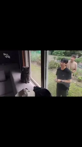 fix bang kita jodoh, aku juga suka mpus 😁#kimnamgil #namgil #namgillove #namgildaero #fypシ゚ #fyypppppppppp 