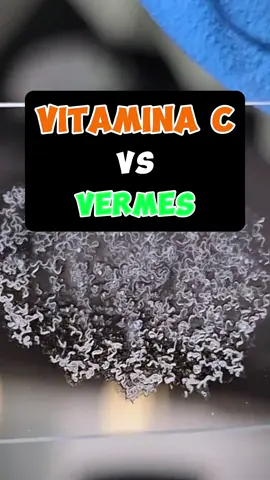 Experiência: Vitamina C Vs Vermes!! Eles resistiram?  #biologia #curioso #ciência #microscopio #curiosidade 