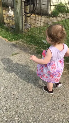 😆😆😆