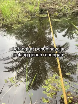parah😑 #fyp #storymancing #mancing #mancingmania #xyzbca 
