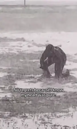 No regrets because I know my heart was pure. #foryou #foryoupage #fyp 