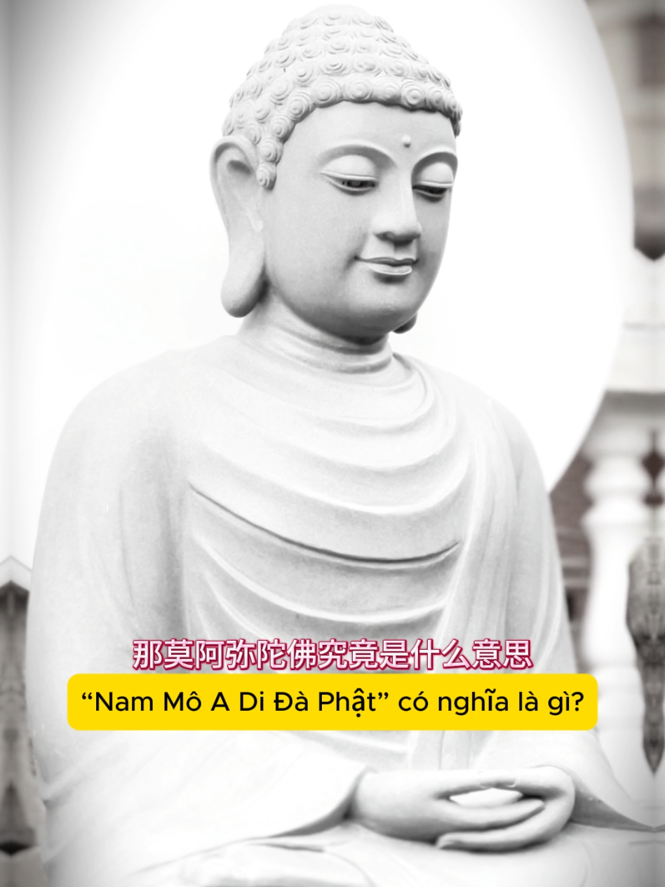 A Di Đà Phật nghĩa là gì? Pháp âm “Nam Mô A Di Đà Phật” không chỉ là lời niệm, mà là chiếc chìa khóa mở ra bản thể vô lượng trong mỗi con người. Khi hiểu được ánh sáng và trí tuệ ấy vốn nằm trong tự tâm, ta sẽ không còn mải mê tìm kiếm bên ngoài, mà quay về chiêm nghiệm bản thể bên trong. 所说：一切众生，皆具如来智慧德相，只因妄想执着，而不证得. 回归本心，便能照见无量光寿.  #trietlyconhan #phattrienbanthan #nhansinh #chualanh #thuctinh #phuongdong #tuduy #songcham #thaydoibanthan #chuyenhoanoitam #thiendinh #daoly #xuhuong