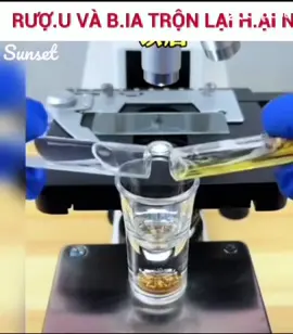Khuyến cáo....Tác hại bia rượu#xuhuong #tiktok 