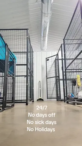 Happy Friday 😊 #theyamachouse #rescuerswithoutborders #fyp #shelterdogsoftiktok #rescuedogsoftiktok #specialneedsdogsoftiktok #paralyzeddog #thankananimalrescuevolunteer 