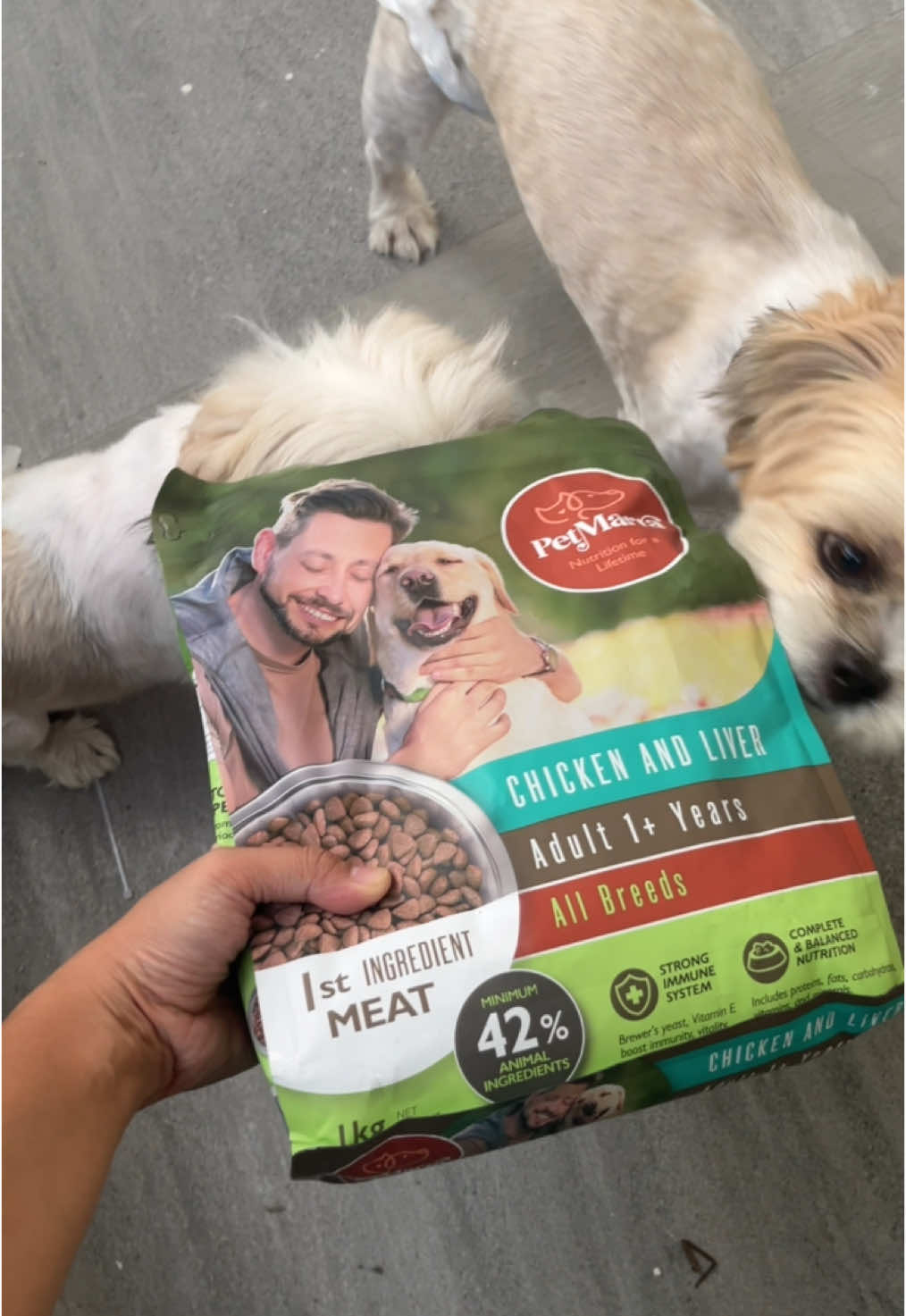 PetMarra dog dry food! Siksik sa vitamins. 1kg for 130 pesos only! #petmarra #petmarradogfood #petmarradryfood #dogfood #dogfoodshihtzu #shihtzu #shihtzufood #fyp #trendingvideo #trending 