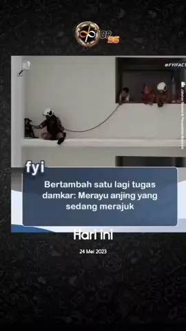 #padahariini