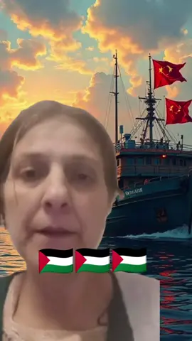 Navire chinois se dirige vers GAZA #palestine #freepalestine🇵🇸❤️ #gaza #actualite #info #PourToi 