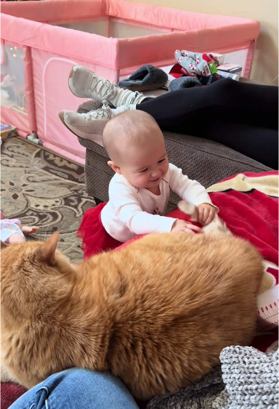 Cat baby #fyp #foryou #cat #cats #catsoftiktok