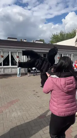 “vs 100 men” they said (song: ilyTOMMY - fine shyt) *drops June 6th* #ilytommy #fypシ゚viral #underground #fyppppppppppppppppppppppp #undergroundmusic #funnyvideos #gorilla #dance #memes #hoodtrap #jerk #xyzbca #musicforyou #foryoupage #fypdongggggggg #tiktoker #tik_tok #tiktok 