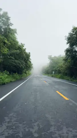 🌨️🍃💚   #ผามออีแดง #ทะเลหมอก #ทะเลหมอกอีสานใต้ #อุทยานแห่งชาติ #กันทรลักษ์ #กันทรลักษ์ศรีสะเกษ🍂 #ศรีสะเกษ #เขาพระวิหาร #หมอก #ภูเขา #การเดินทางของฉัน #ฮีลใจ 