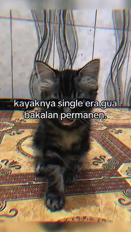 dan terjadi lagi… #CapCut #4u #fyppppppppppppppppppppppp #ungaran24jam 
